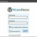 WordPress via WP plugin